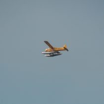 ... i ptak stalowy. De Havilland DHC-2 Beaver